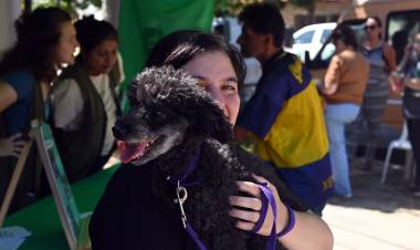 La Municipalidad informa los horarios de atención del IMUSA durante todo el año