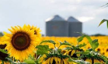 Las lluvias de febrero fortalecen la campaña agrícola y consolidan la perspectiva de una cosecha récord en Santa Fe