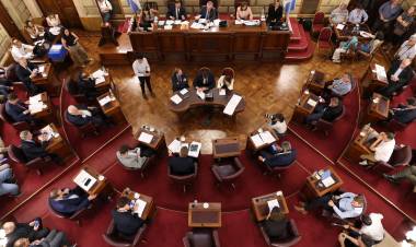 Michlig: “Con la media sanción de la nueva Ley Orgánica de Municipios estamos dando un paso histórico”