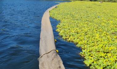 La Municipalidad avanza en la limpieza del lago del Parque del Sur