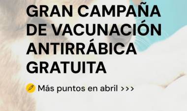 Gran campaña de vacunación antirrábica gratuita: se amplían los puntos de atención en la ciudad