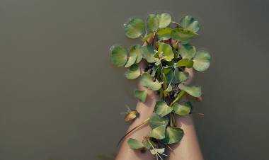 La Casa Museo César López Claro invita a la activación “Cuerpos en deriva”