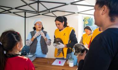 La Municipalidad realizó un nuevo abordaje masivo de Protección Animal en barrio Libertad