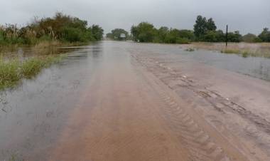 Santa Fe declaró la emergencia agropecuaria en el norte provincial y dispuso alivios impositivos para productores afectados