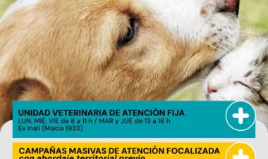 La Municipalidad informa el cronograma y servicios de Protección Animal para mayo