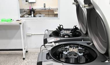 Hemoterapia: con inversión y más de 200 colectas al año, Santa Fe consolida su modelo basado en la donación voluntaria de sangre