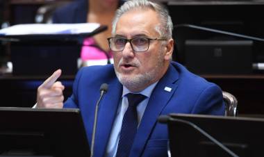 Crisis del sistema de transporte: Lewandowski exige explicaciones al Gobierno Nacional