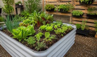 La Municipalidad impulsa un relevamiento de experiencias de educación alimentaria en la ciudad
