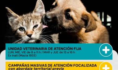 Protección Animal Municipal: servicios, campañas y canales de denuncia para junio