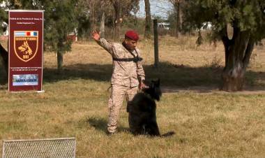 La Policía de Santa Fe realizó el primer Curso Nacional de Guías de Canes de Seguridad