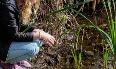 Suelta de tortugas y visitas guiadas a la Reserva Ecológica UNL