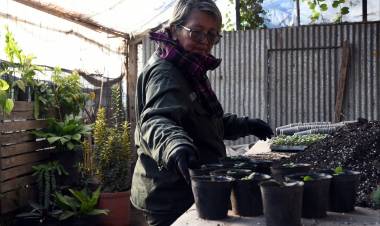 Juegos Suramericanos: se producen más de 18 mil plantines para embellecer los espacios públicos