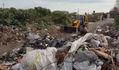 Los Hornos: la Municipalidad limpió un basural a cielo abierto y restituyó el tránsito en una calle 