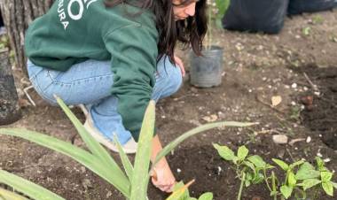 La Municipalidad realizó tareas de limpieza y desmalezado integral en el Corredor Escalante