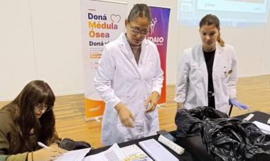 Día Mundial del Donante de Médula Ósea: la Provincia cuenta con casi 35 mil donantes inscriptos en el Registro Nacional