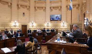 El Senado dio media sanción a un sistema de prevención de la violencia de género