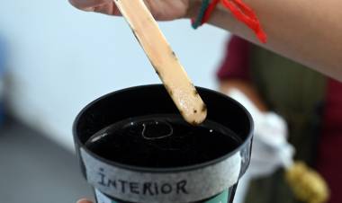 La Municipalidad refuerza las recomendaciones para prevenir el Dengue