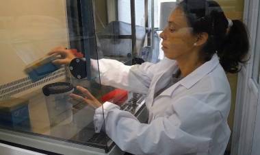 ¿Y si los antibióticos dejaran de funcionar?