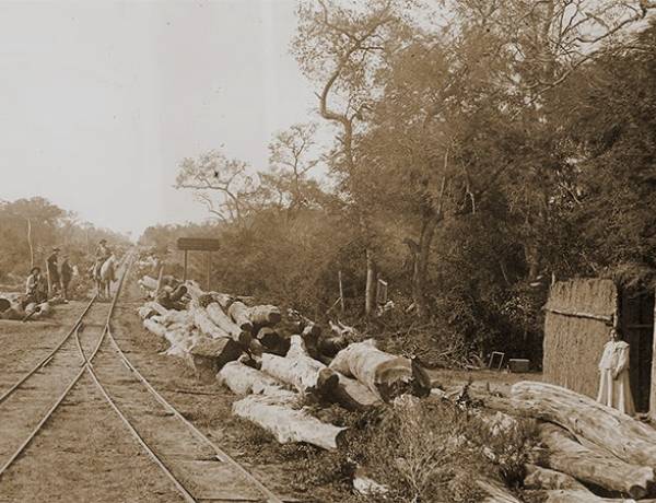 Dinero extranjero y ecocidio