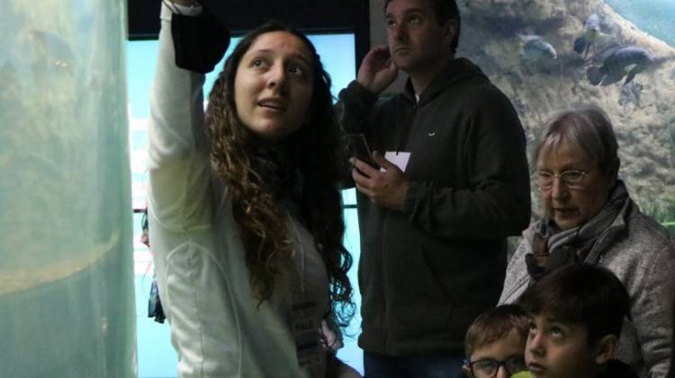 Más de 3.500 personas visitaron el Acuario del río Paraná durante el fin de semana largo 