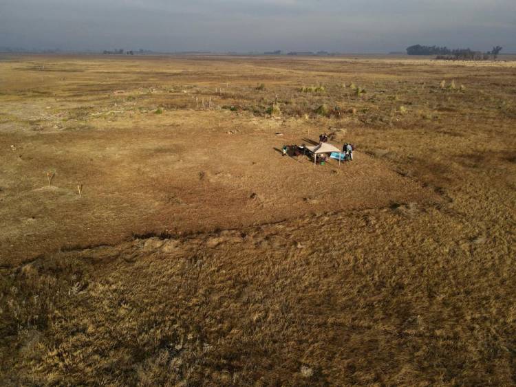 La provincia lleva adelante una campaña arqueológica en Melincué