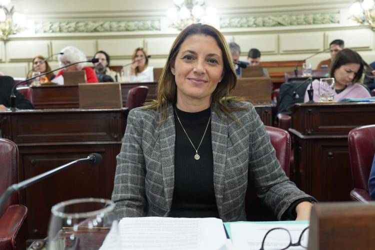 Florito: "El estado tiene el deber indelegable de abordar la prevención de adicciones"