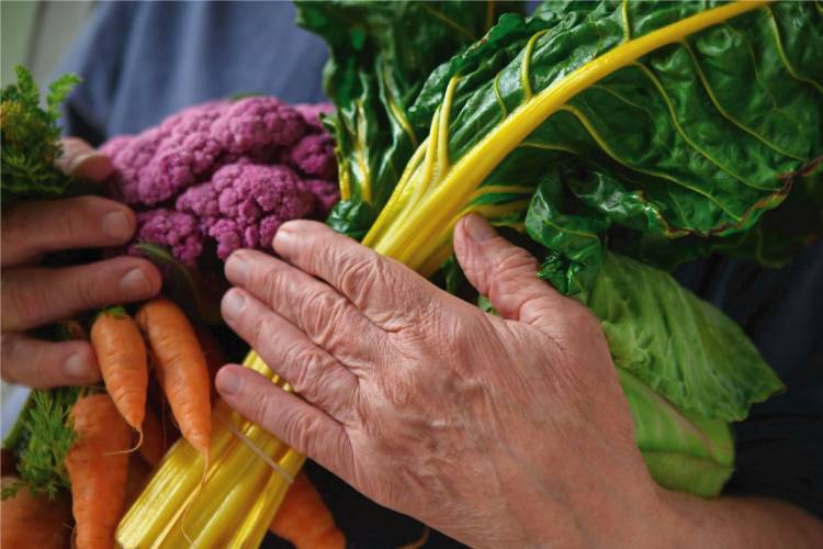 Taller de Alimentación para la prevención de la diabetes y la hipertensión