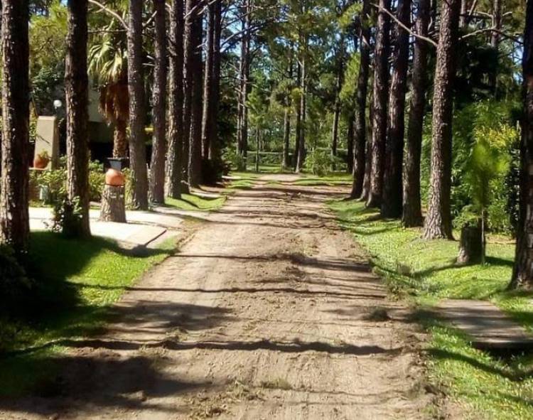 El Concejo solicitó a la Defensoría del Pueblo saber cuál el estado del reclamo que realizaron los vecinos de El Pinar a la EPE