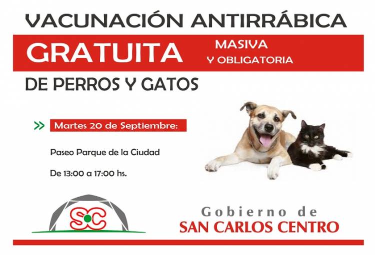 Vacunación gratuita para perros y gatos en San Carlos Centro