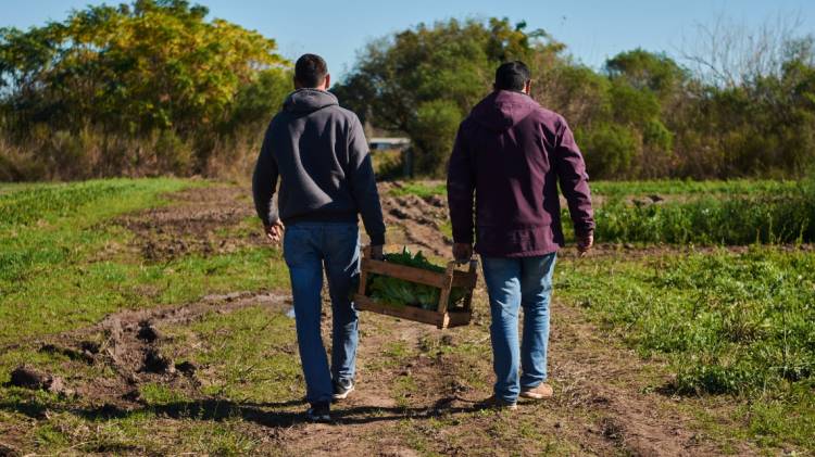 Se prorrogó hasta el 2 de octubre la inscripción al programa Módulos Productivos de la Agricultura Familiar