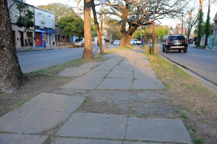 La Municipalidad licitará obras para renovar la avenida J.J. Paso