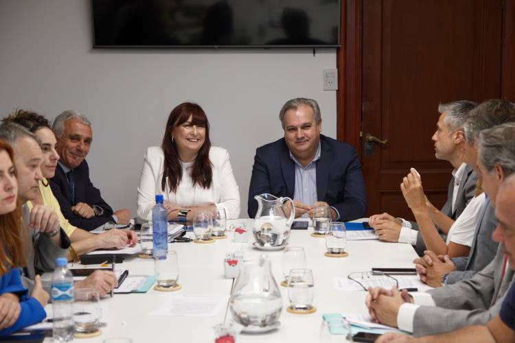 La ministra Celia Arena concurrió a la Cámara de Diputados y respondió interrogantes de los legisladores