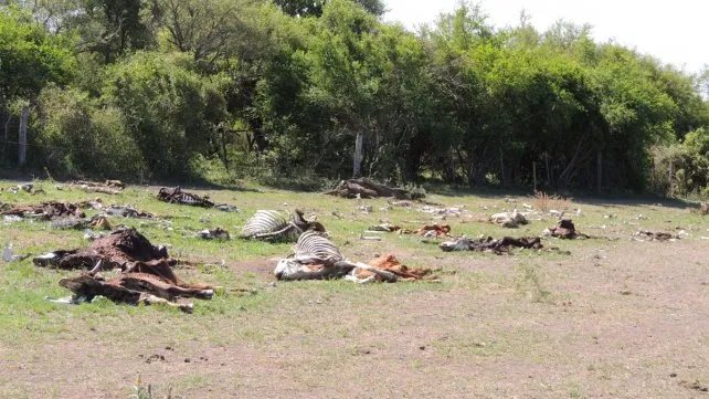 Sequía: piden que Santiago del Estero abra sus compuertas para que haya un caudal normal del río