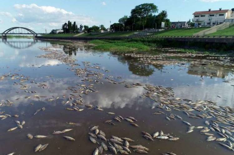 La Defensoría del Pueblo de Santa Fe pidió acciones ante la contaminación del río Salado