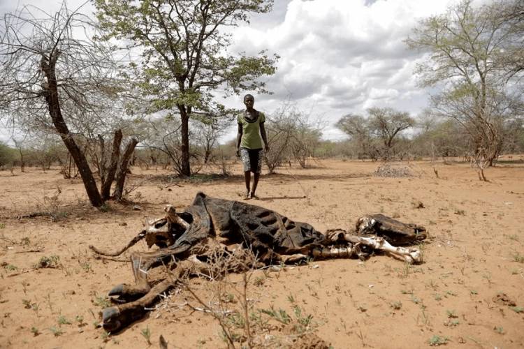 Calor mortal en Africa Occidental por el cambio climático