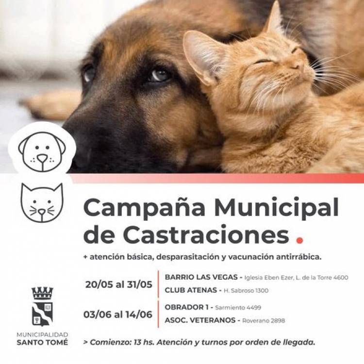 La Municipalidad sigue adelante con la Campaña de Castraciones