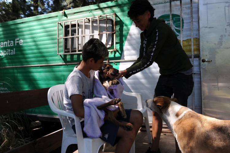 El programa IMUSA en tu Barrio superó las 900 castraciones y sus atenciones van en aumento