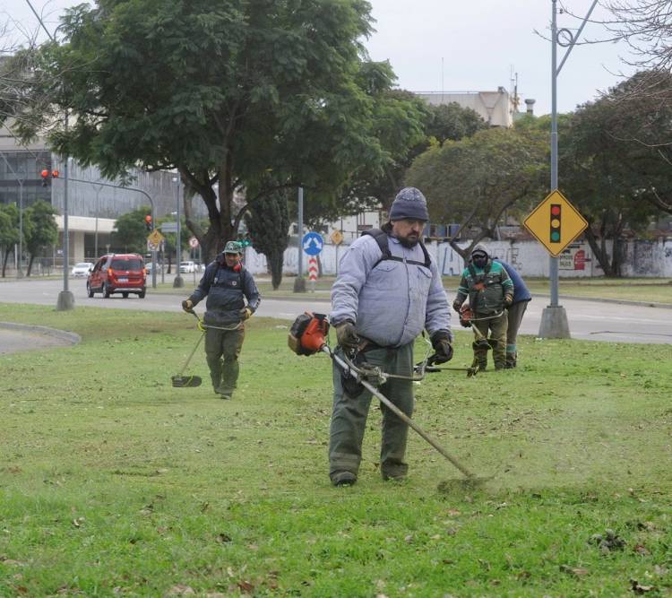 Desmalezamiento y limpieza: los servicios municipales previstos para esta semana