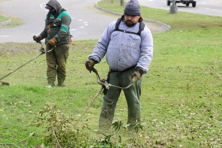 Desmalezamiento y limpieza: los servicios municipales previstos para esta semana