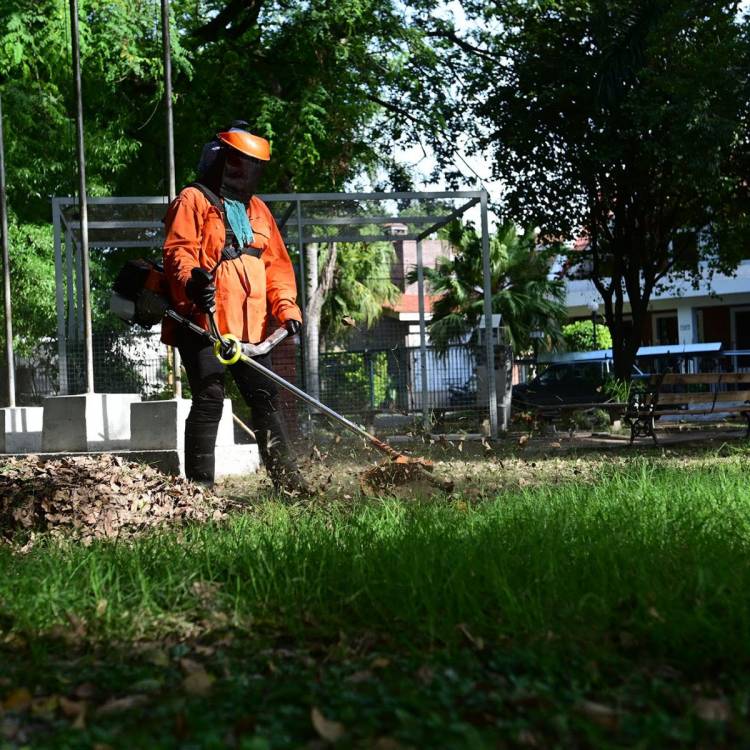 Desmalezamiento y limpieza: los servicios municipales previstos para esta semana
