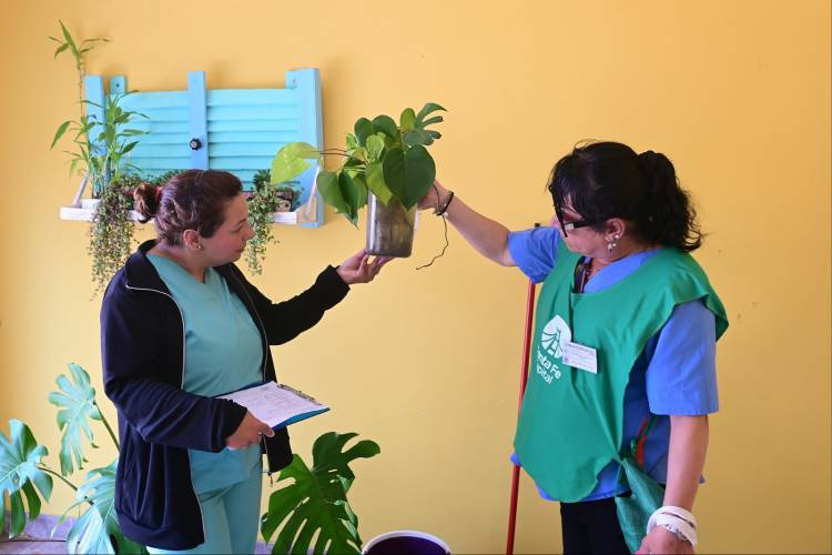 Cronograma de agosto: promotores de la salud continúan trabajando para prevenir el dengue