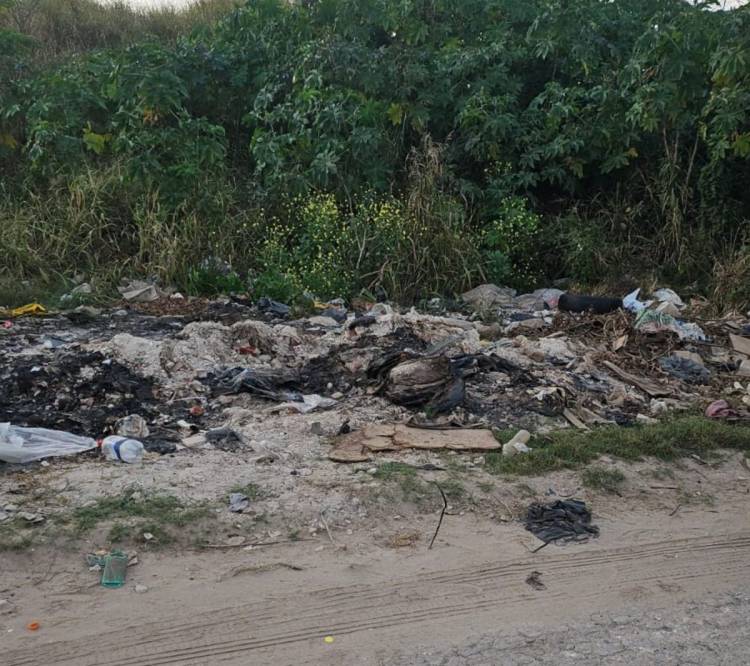 Medio ambiente: tras una denuncia, una empresa fue sancionada por contaminación y reparó los daños