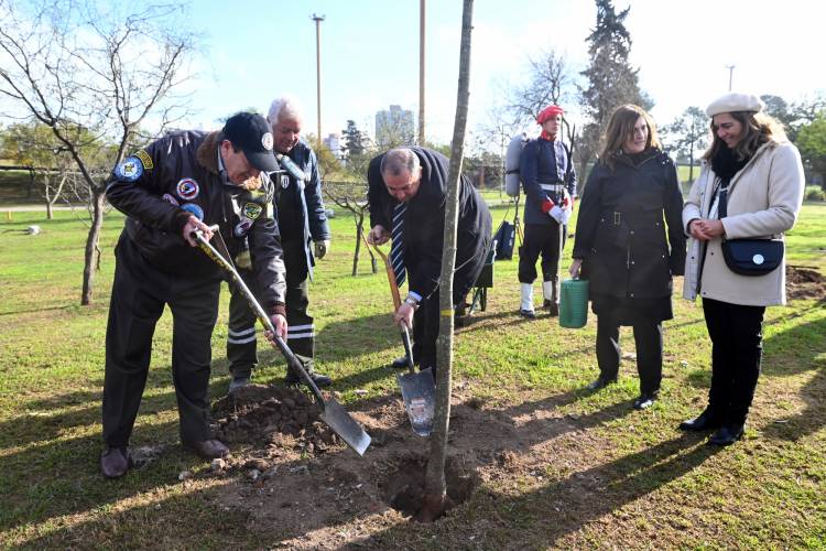 En la Semana de la Forestación, la Municipalidad plantará más de 500 árboles