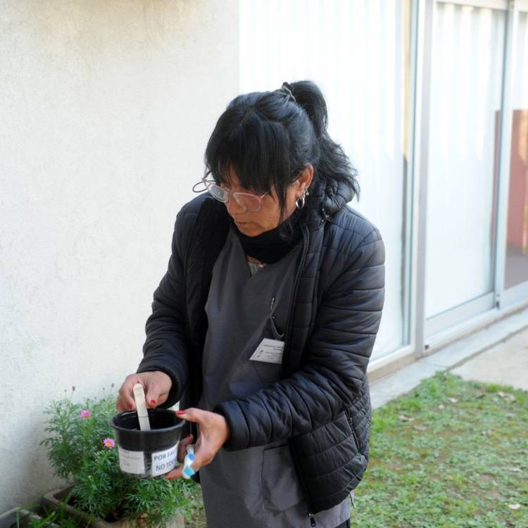 Dengue: 47 ovitrampas vigilan la actividad del Aedes Aegypti en 35 barrios de Santa Fe