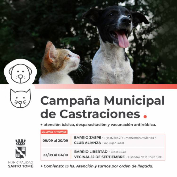 La Campaña Municipal de Castraciones sigue recorriendo la ciudad