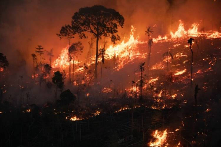 Lluvia negra en Florianópolis y Sao Pablo por los incendios en el amazonas