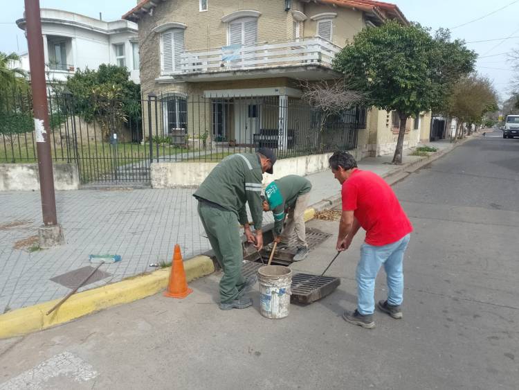 Limpieza de bocas de tormenta: se retiraron más de 1100 toneladas de basura y hasta un árbol