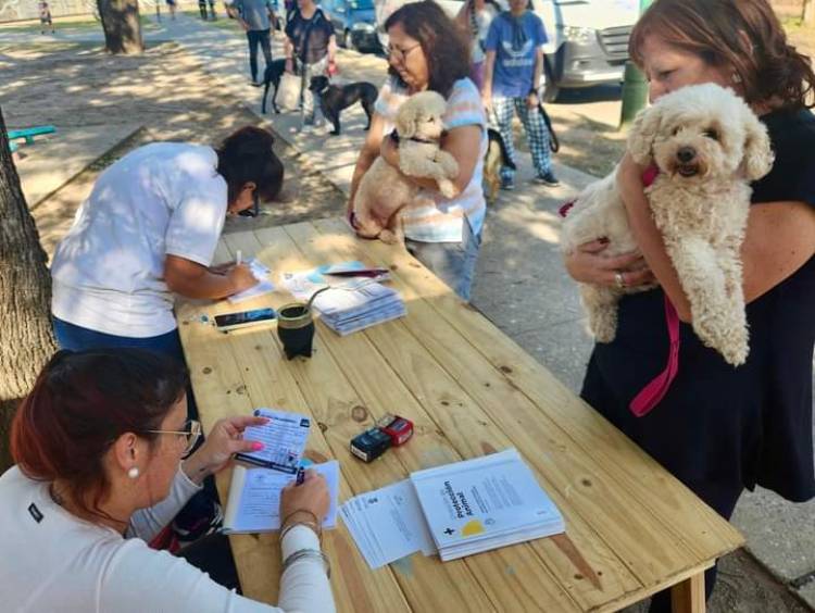 La Municipalidad de Santo Tomé llevó a cabo otra jornada exitosa de vacunación antirrábica gratuita