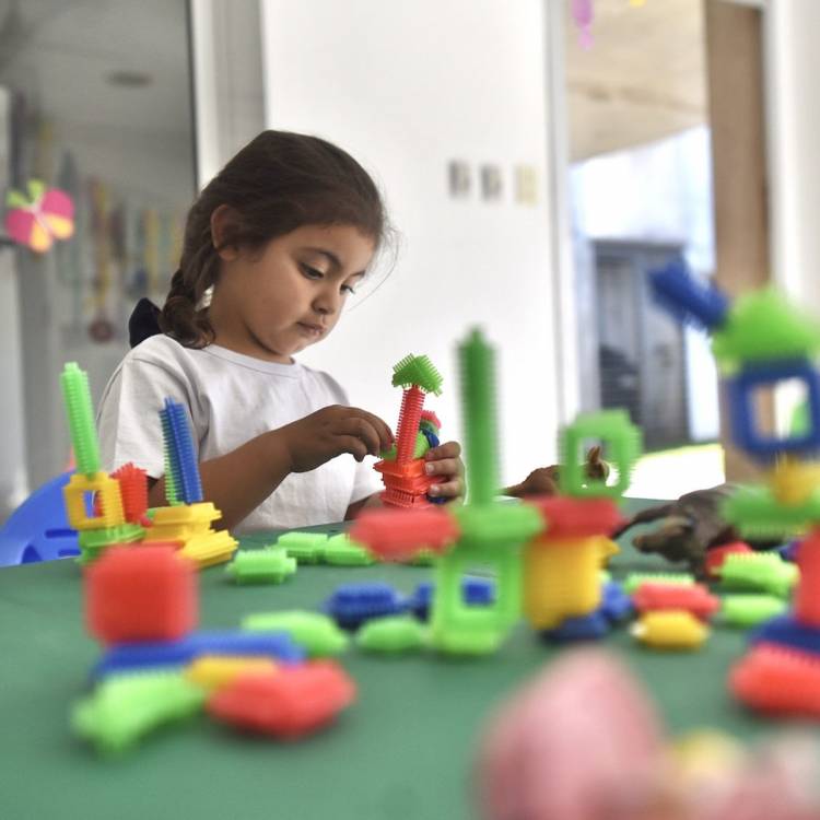 Padrinos 2024: el Mercado de Productores y el Colegio de Farmacéuticos aportarán a la educación