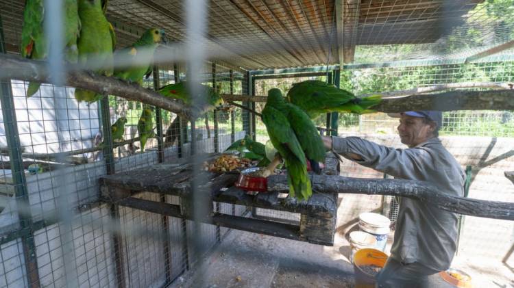 Ambiente: nuevas especies llegaron a Santa Fe para ser reinsertados en sus hábitats